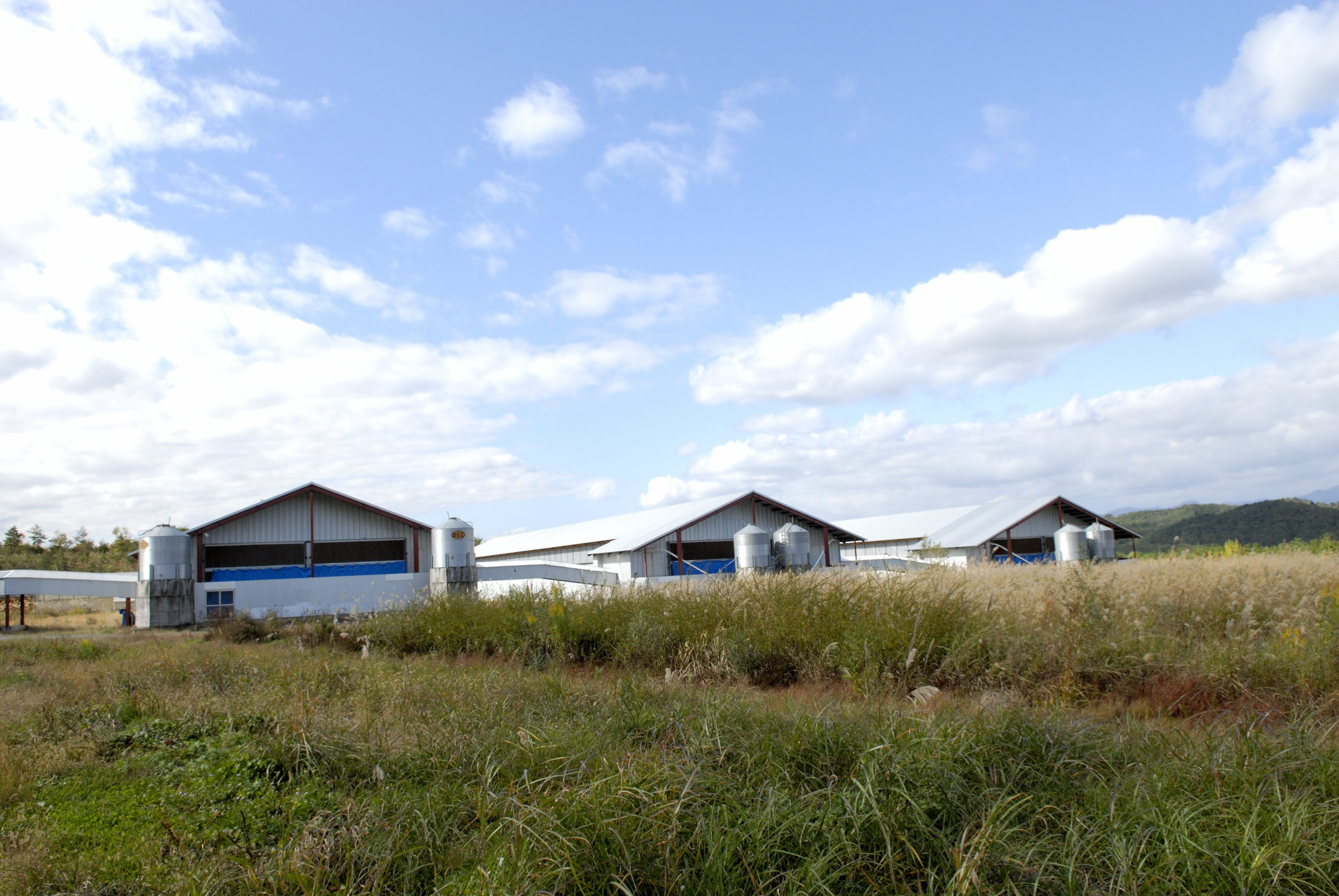 採用情報｜ウフウフカンパニー