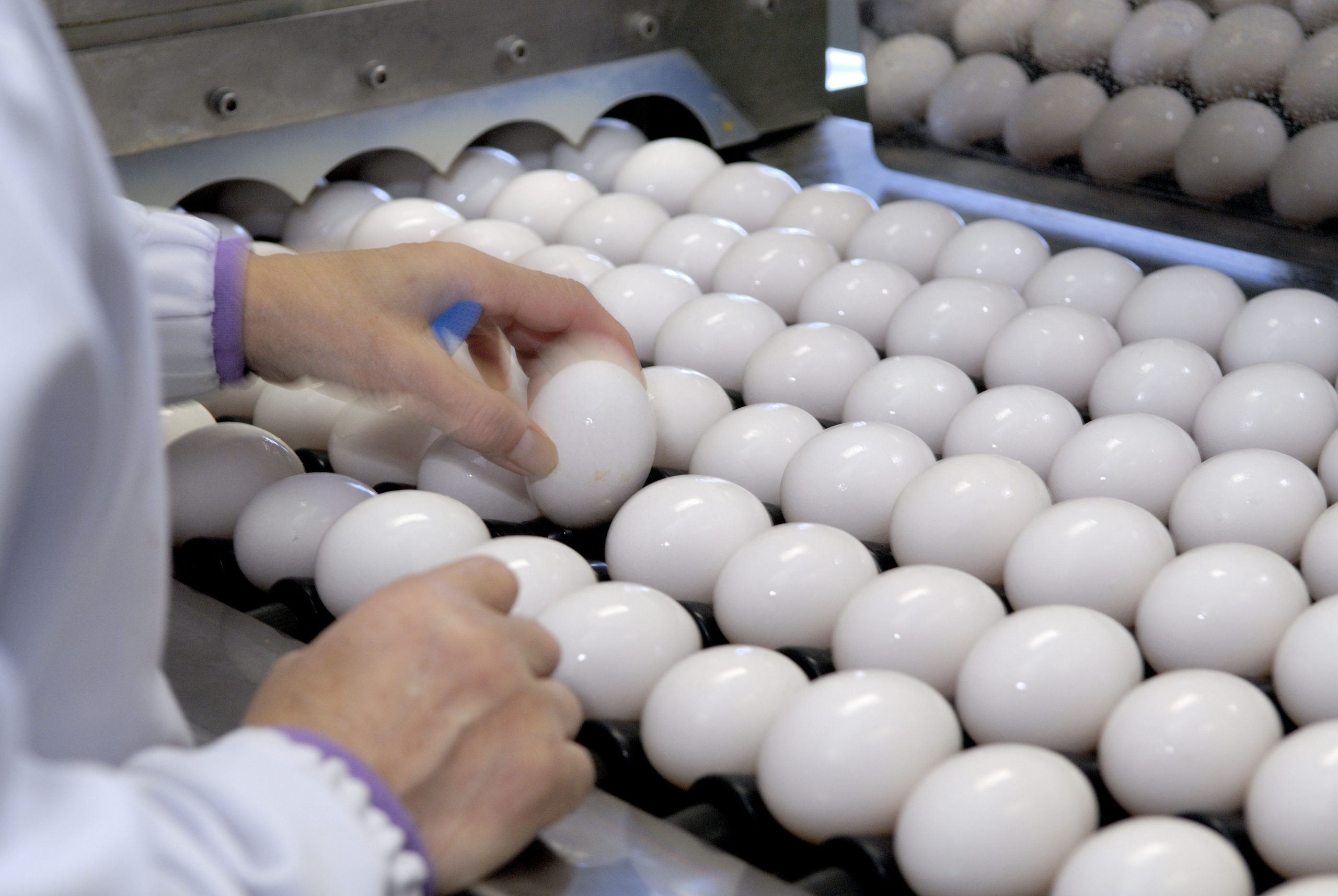 ピッキングスタッフ | 