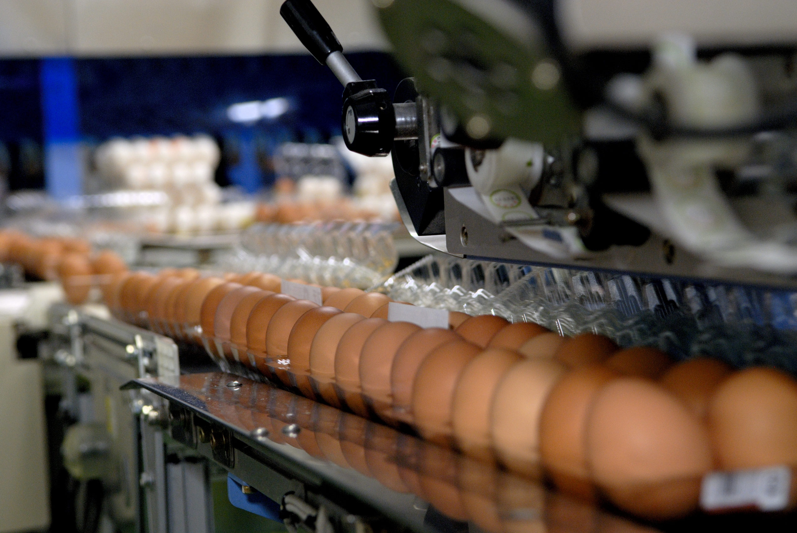 会社を知る | Company