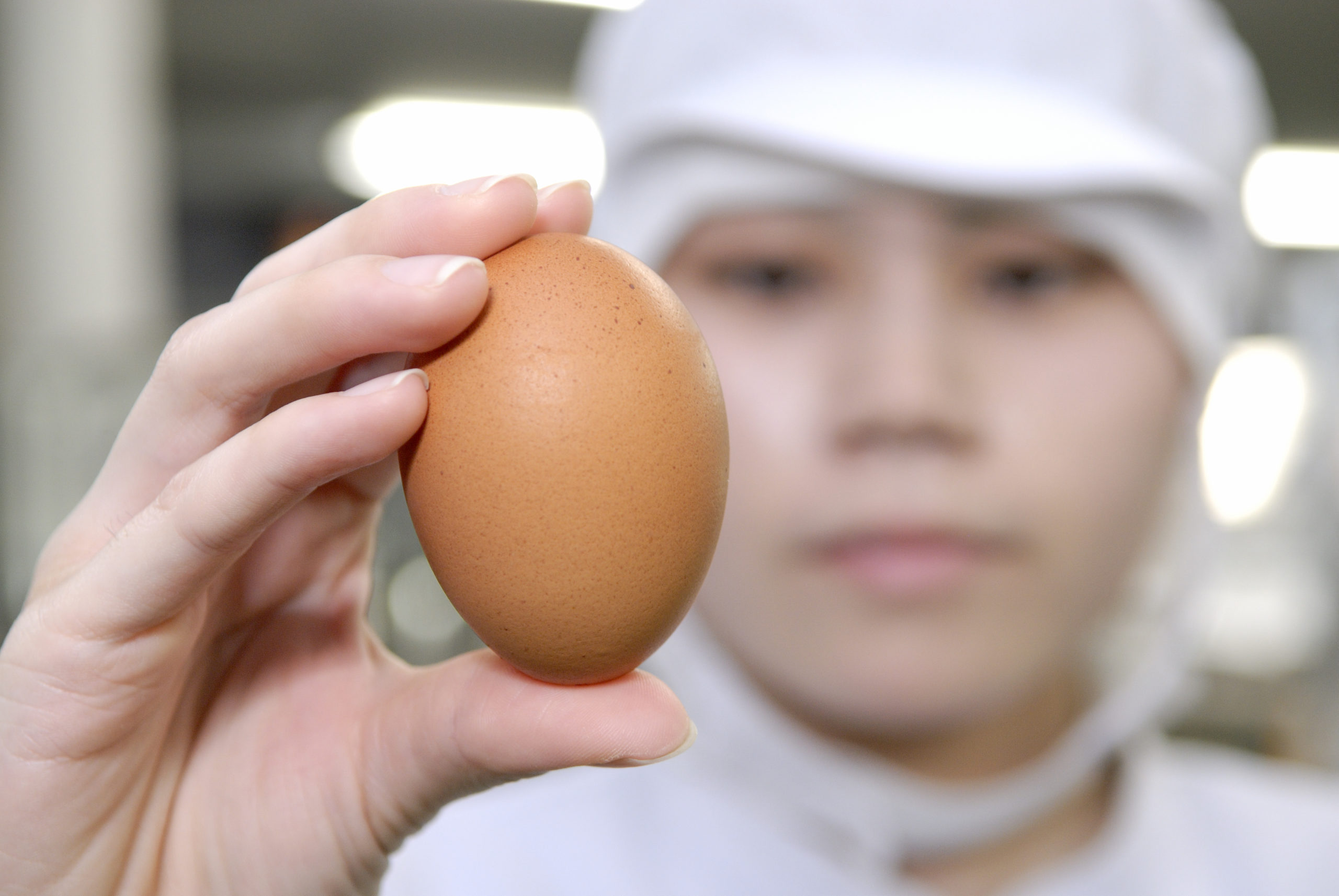 食品工場スタッフ | 